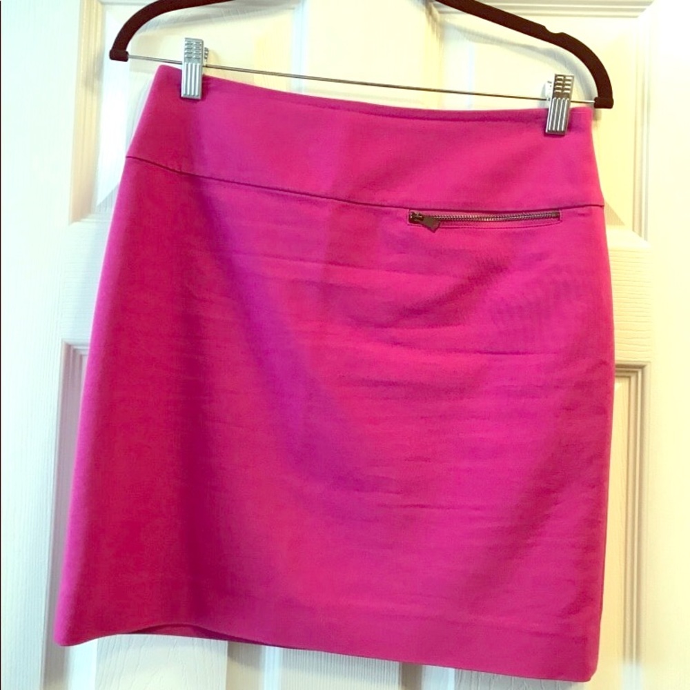 Pink Ann Taylor Skirt
